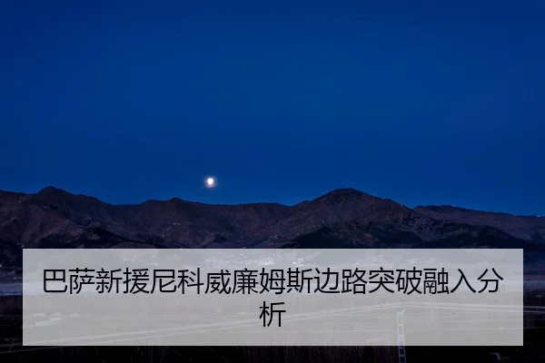 ba-sa-xin-yuan-ni-ke-wei-lian-mu-si-bian-lu-tu-po-rong-ru-fen-xi-1-959.jpg