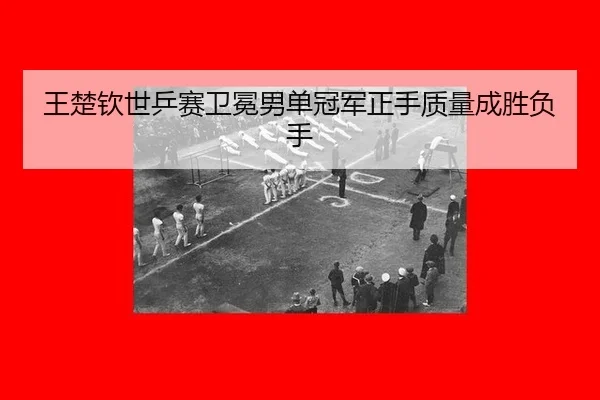 wang-chu-qin-shi-ping-sai-wei-mian-nan-dan-guan-jun-zheng-shou-zhi-liang-cheng-sheng-fu-shou-2-281.jpg